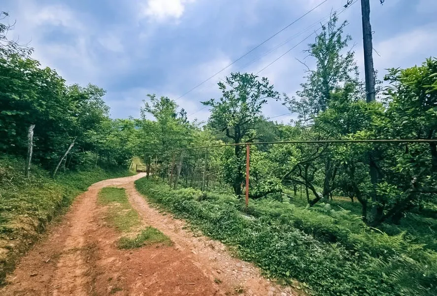 Land, 4195 m²