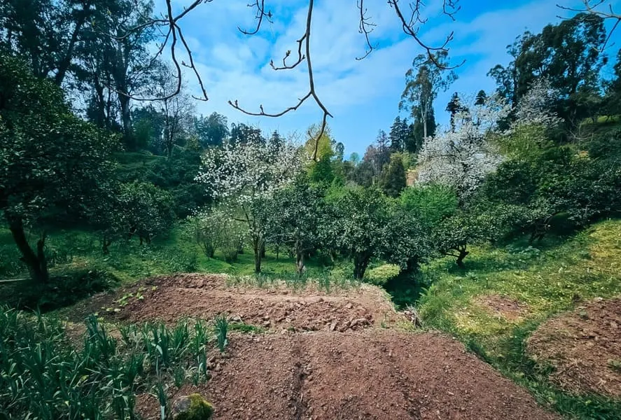 Land, 470 m²