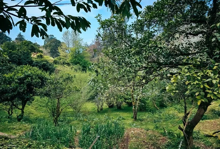 Land, 470 m²