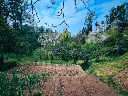 Plot, 470 m²