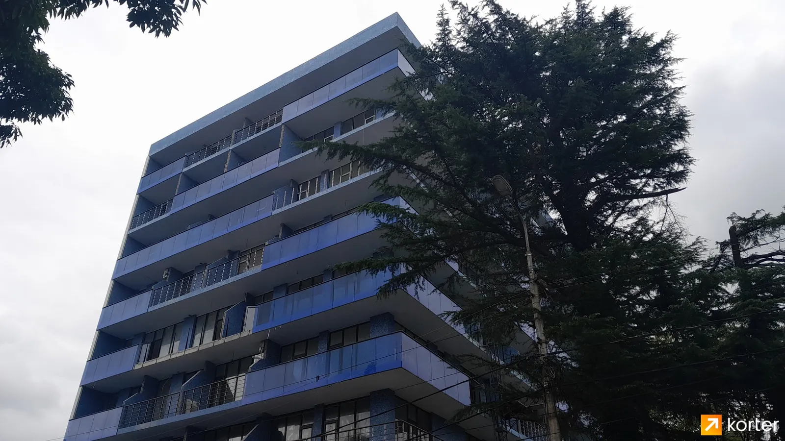 ЖК David Aghmashenebeli Ave, 164