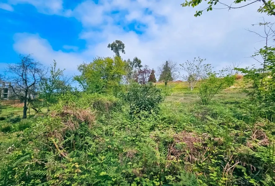 Land, 5000 m²
