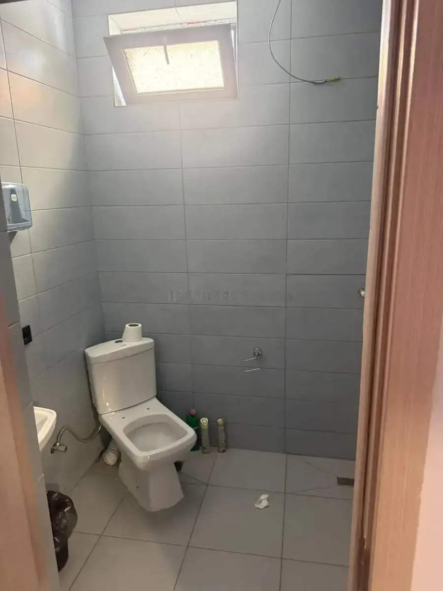 House, 7-room, 310 m², Imobiliare