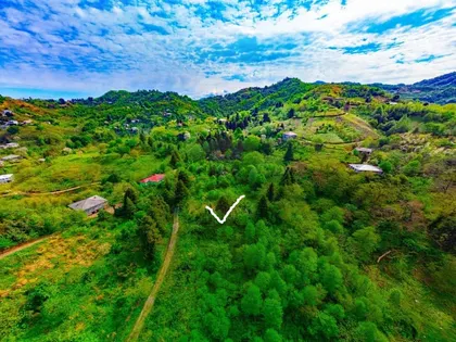 Plot, 5239 m²