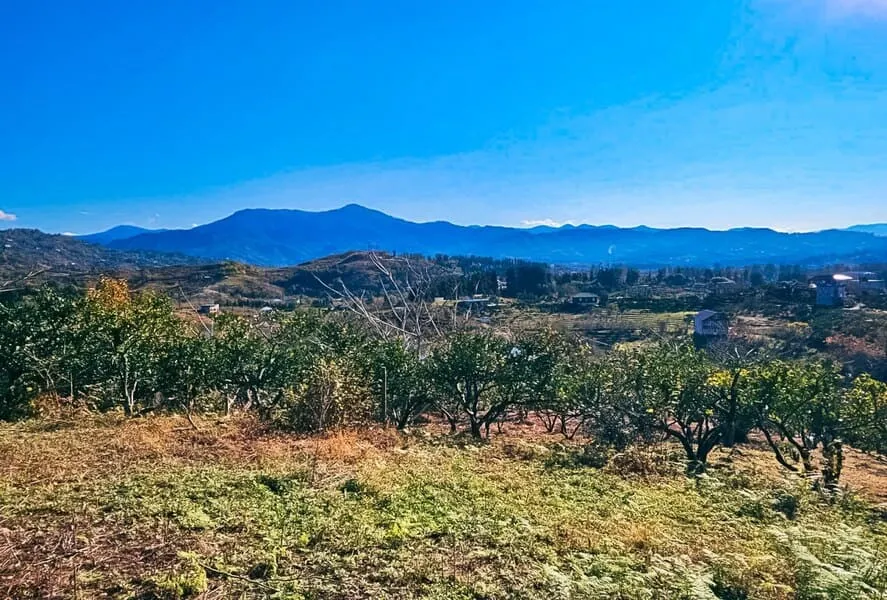 Land, 2750 m²