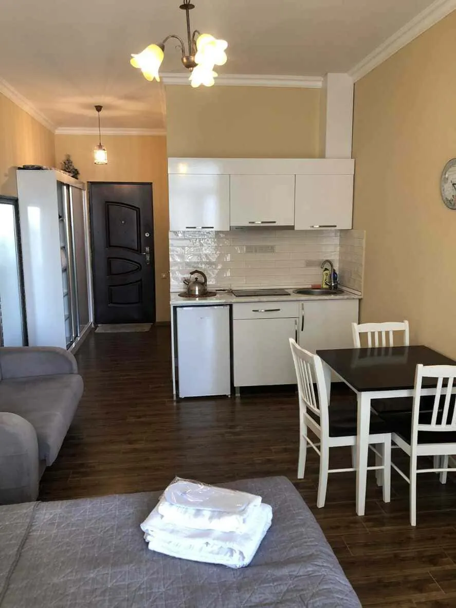 Apartment, 31.3 m²