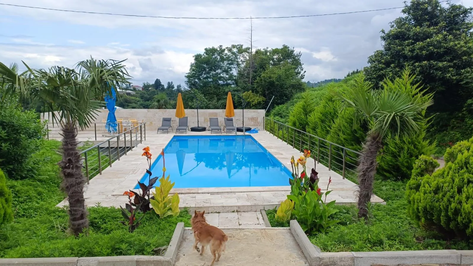 Дом, 5-комн., 417 м²