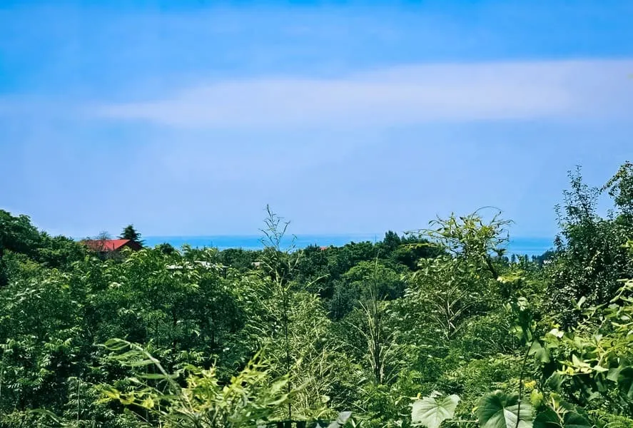 Land, 1000 m²