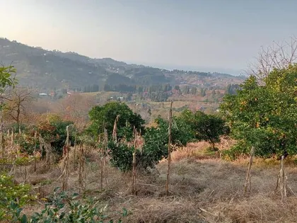 Plot, 3733 m²