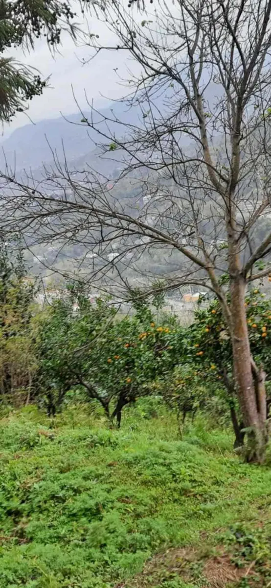 Land, 2502 m²
