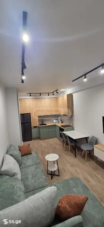 Apartment, 2-room, 50 m², Vakhtang Gorgasali St, 14