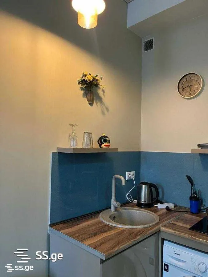 Apartment, 1-room, 30 m², Artem Lusiniani St, 5