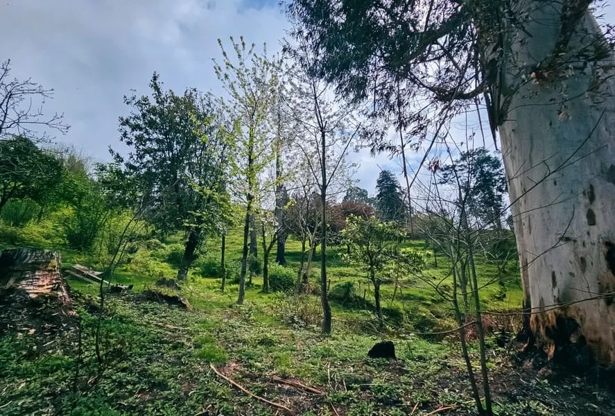 Land, 5000 m²