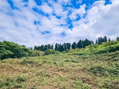 Plot, 1335 m²