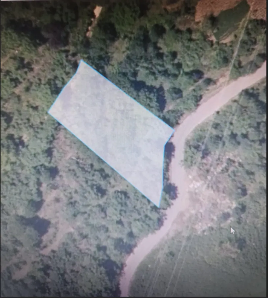 Земля, 1517 м²