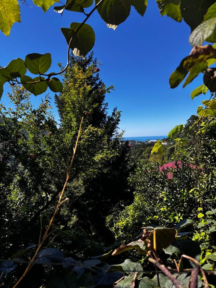 House, 3-room, 177 m²