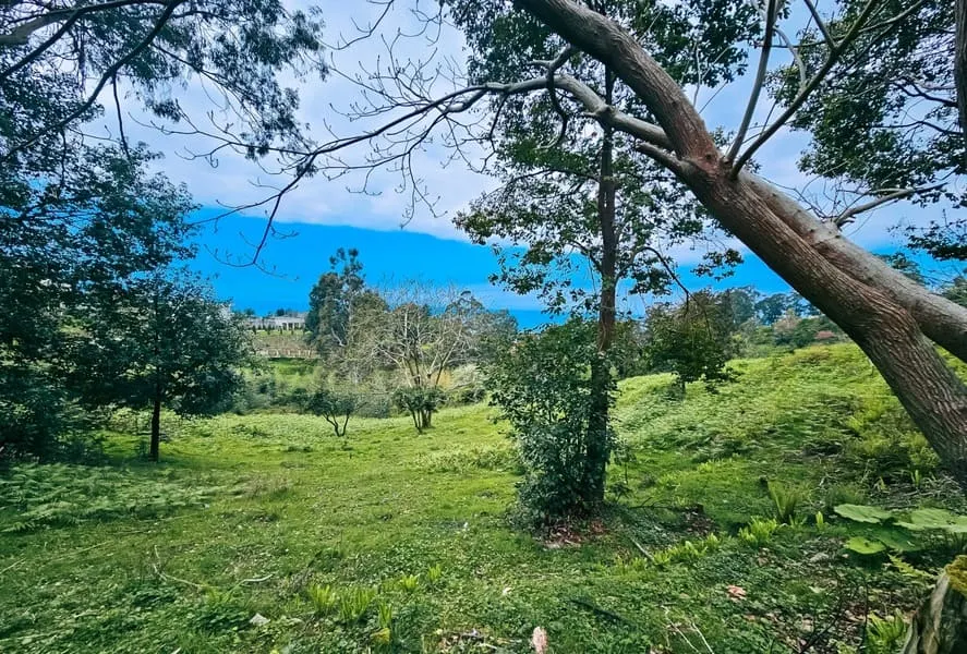 Land, 5120 m²