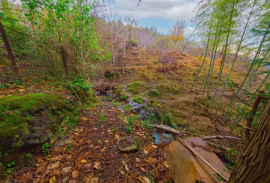 Land, 2504 m²