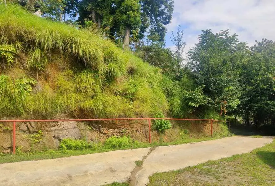 House, 205 m²