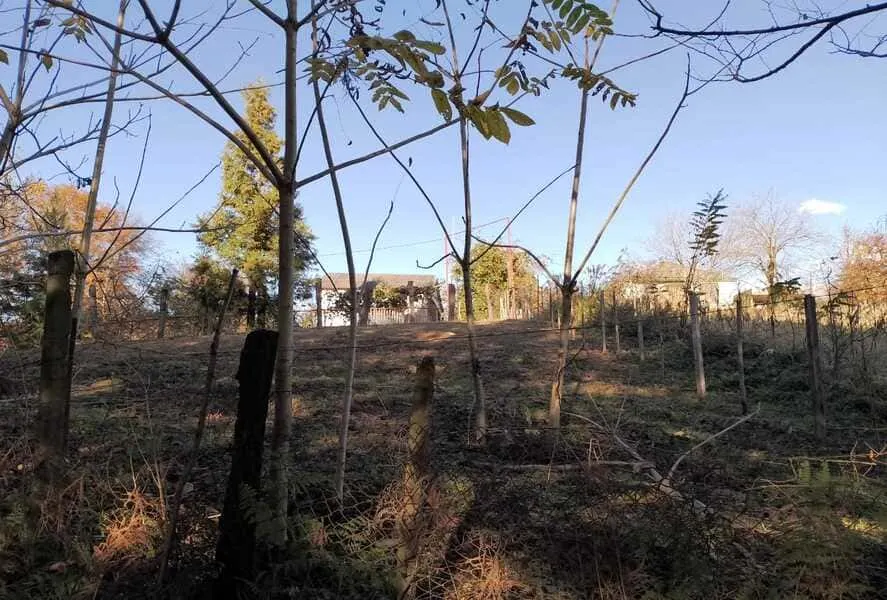 Land, 1000 m²