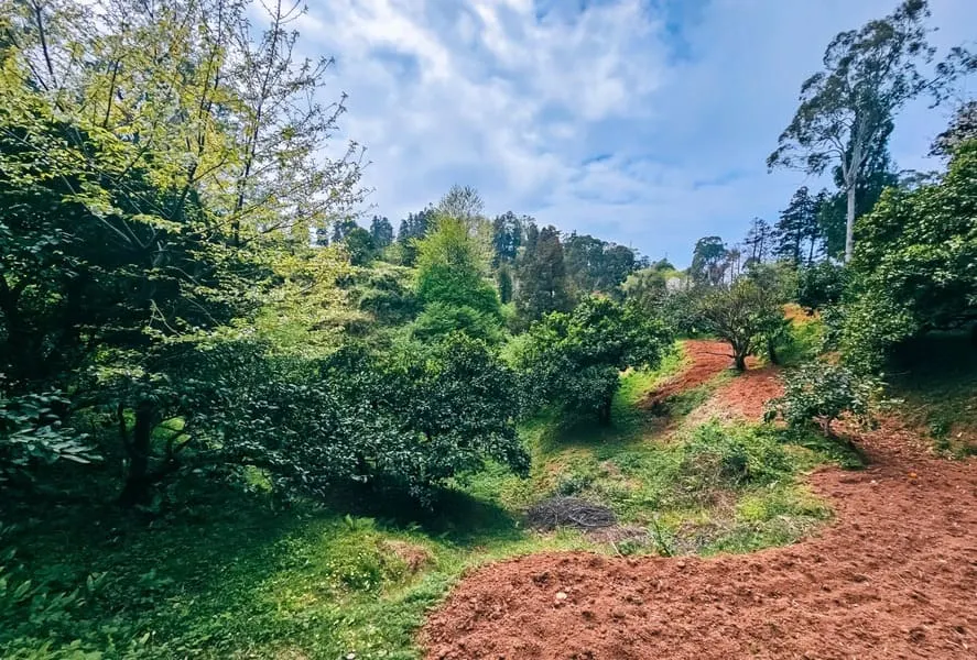 Land, 1944 m²