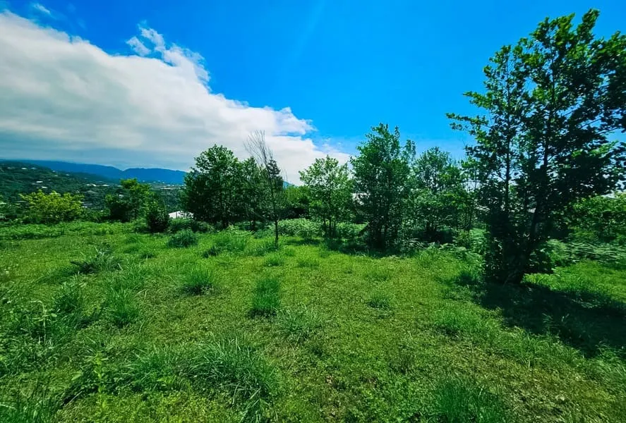 Земля, 5500 м²