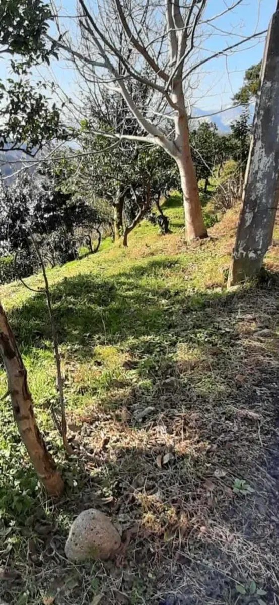Land, 2502 m²