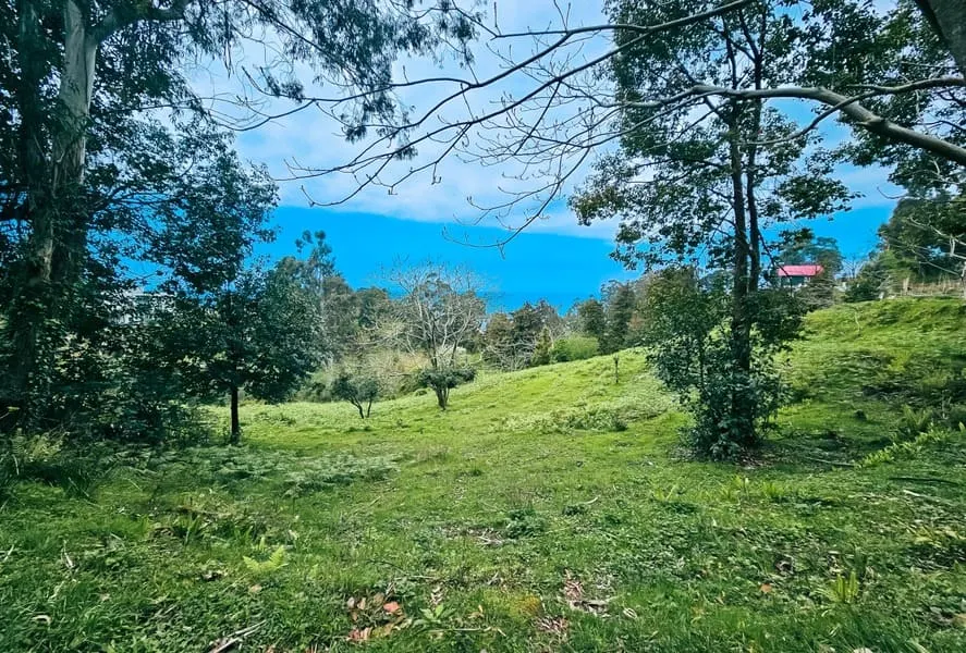 Land, 5120 m²
