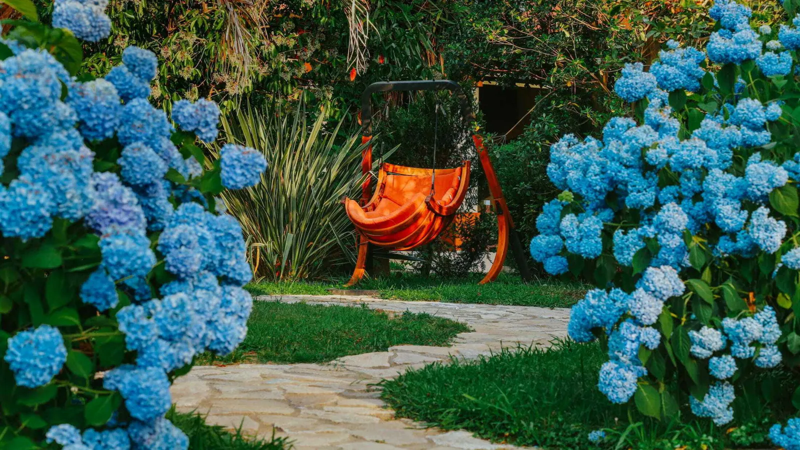 ЖК Dreamland Oasis