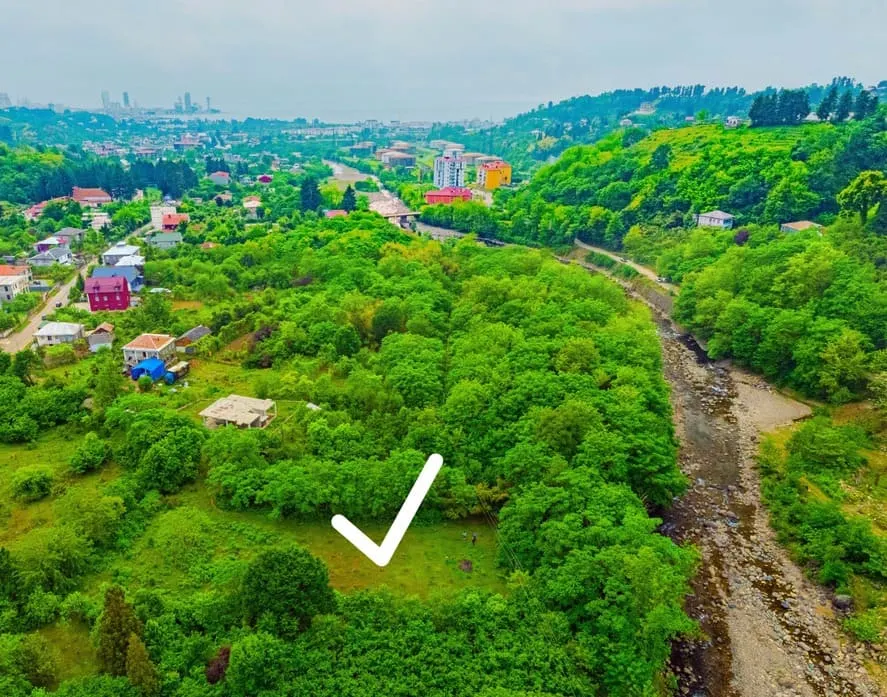 Земля, 2202 м²
