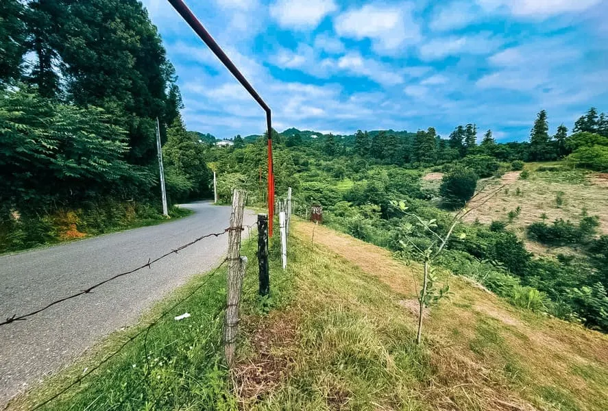 House, 3804 m²