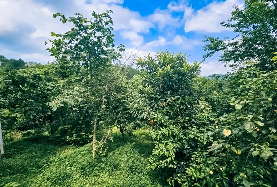 Land, 4195 m²