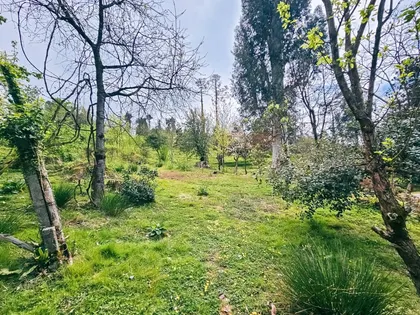 Plot, 5000 m²