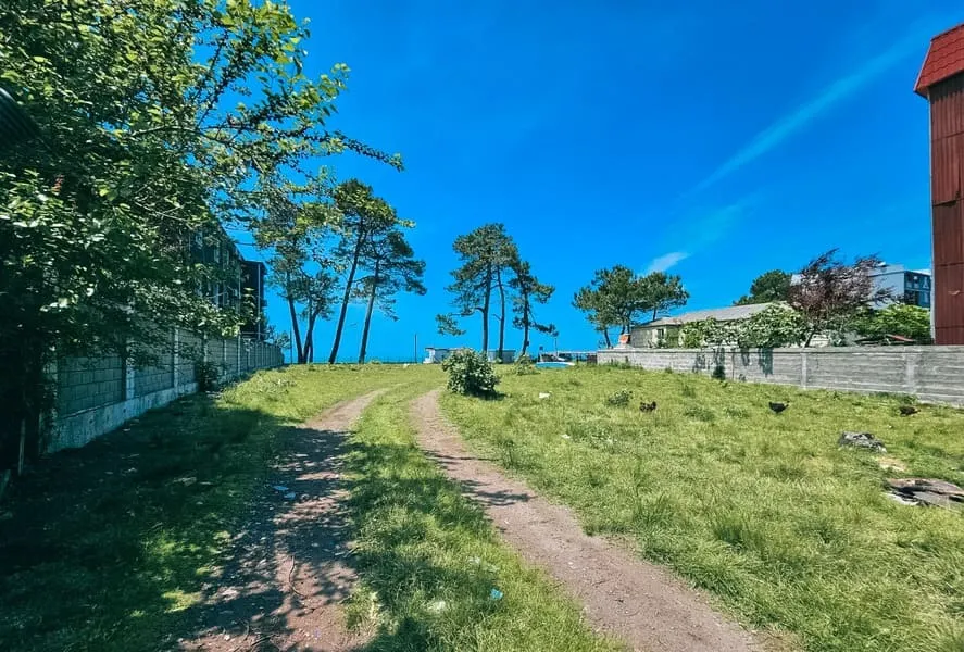 Земля, 3174 м²