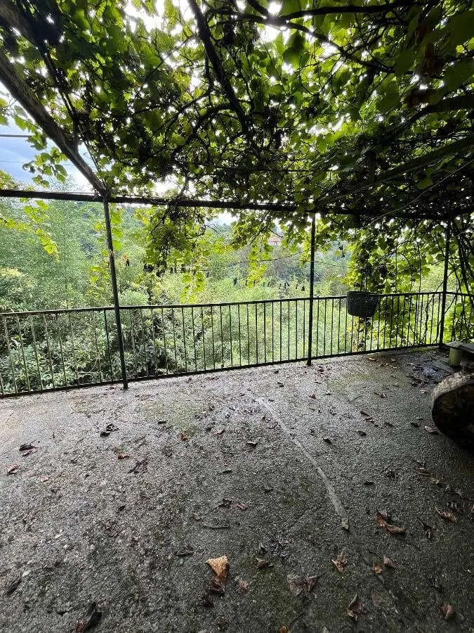 House, 5-room, 300 m²