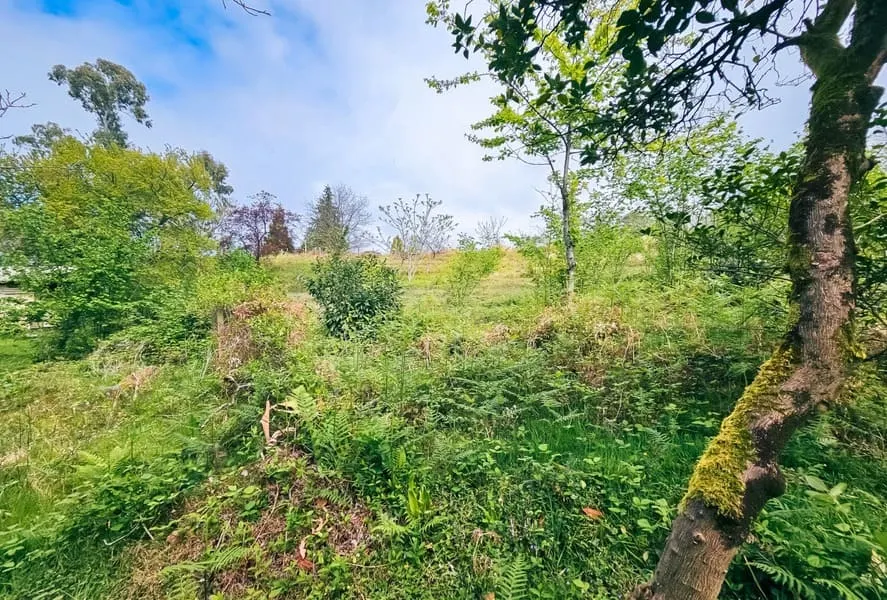 Land, 5000 m²