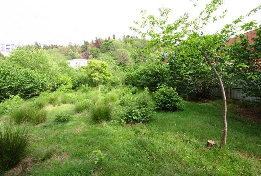 Land, 3800 m²