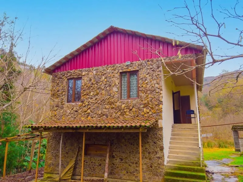 Земля, 1540 м²