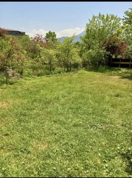 House, 5-room, 320 m²