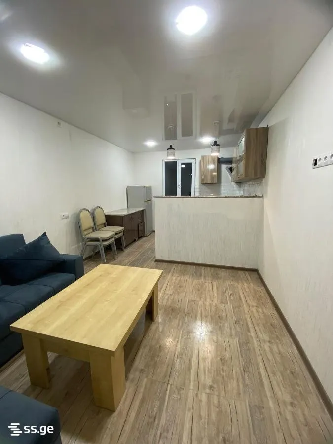 Apartment, 2-room, 50 m², Tsulukidze St, 15