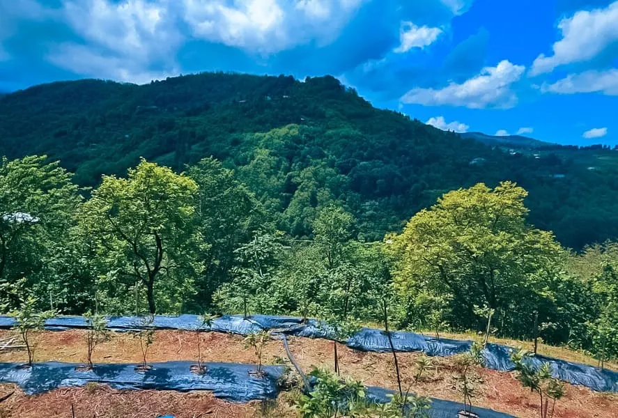 Land, 2292 m²