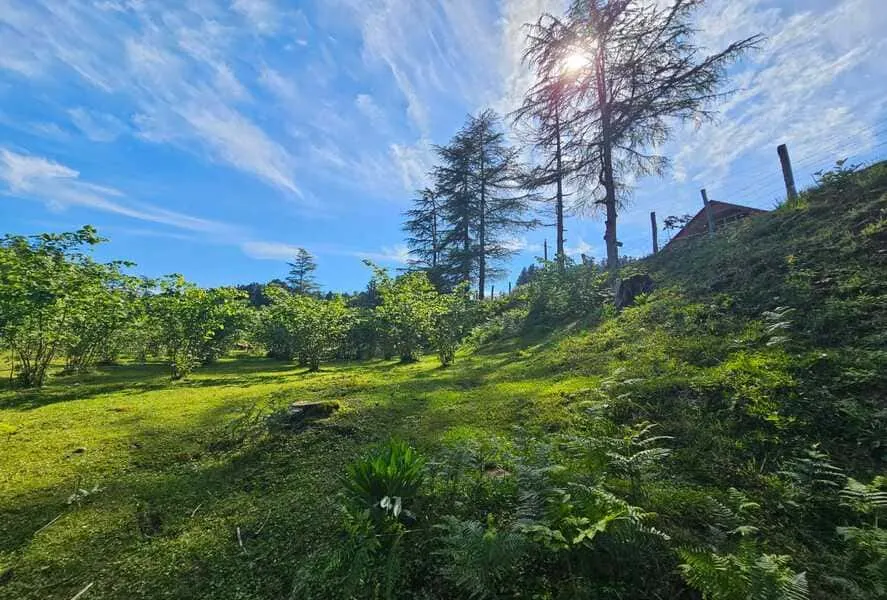 ЖК Chakvi