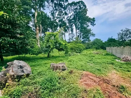 Plot, 435 m²