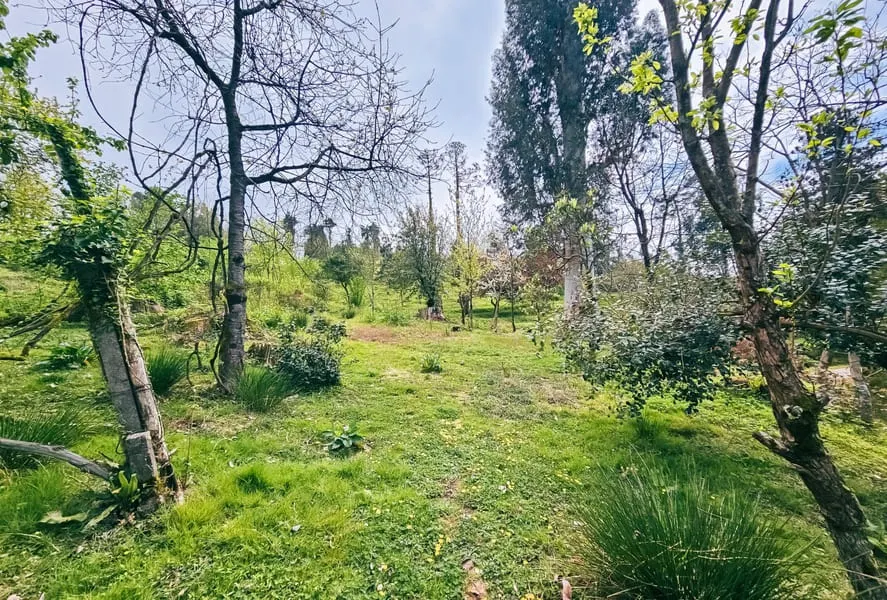 Land, 5000 m²