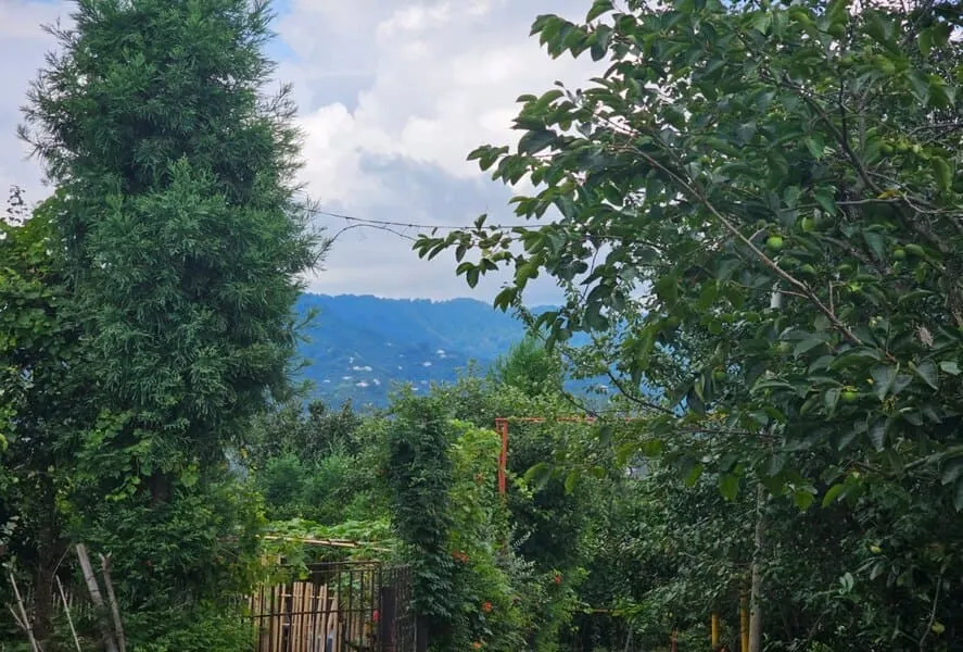 Land, 1040 m²