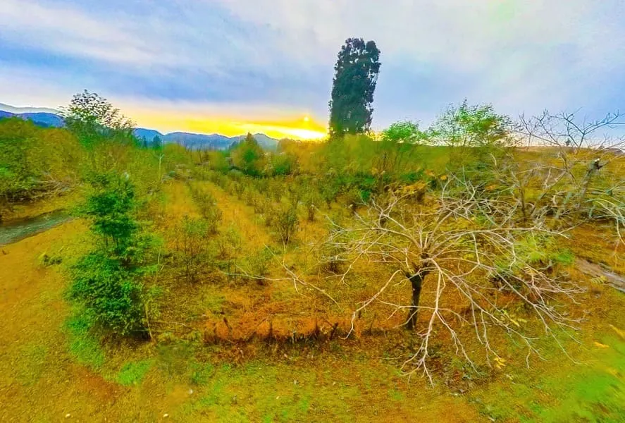 Land, 2700 m²