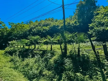 Plot, 1700 m²