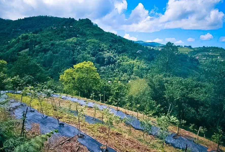 Land, 2292 m²