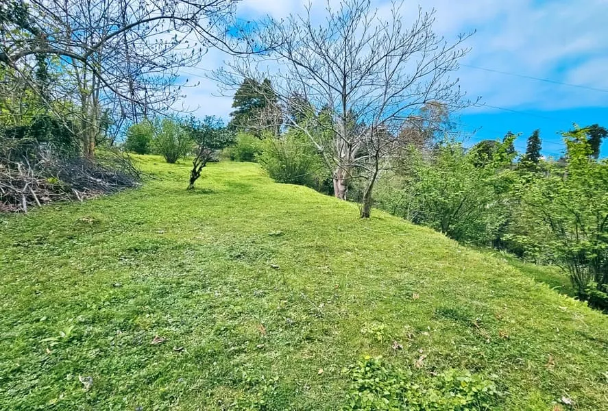 Land, 3300 m²