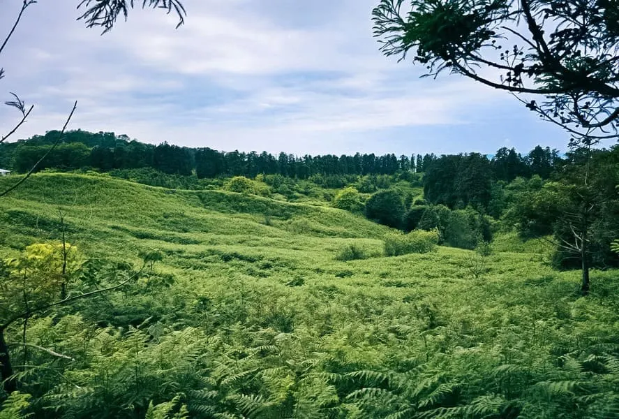 Green Cape residential complex